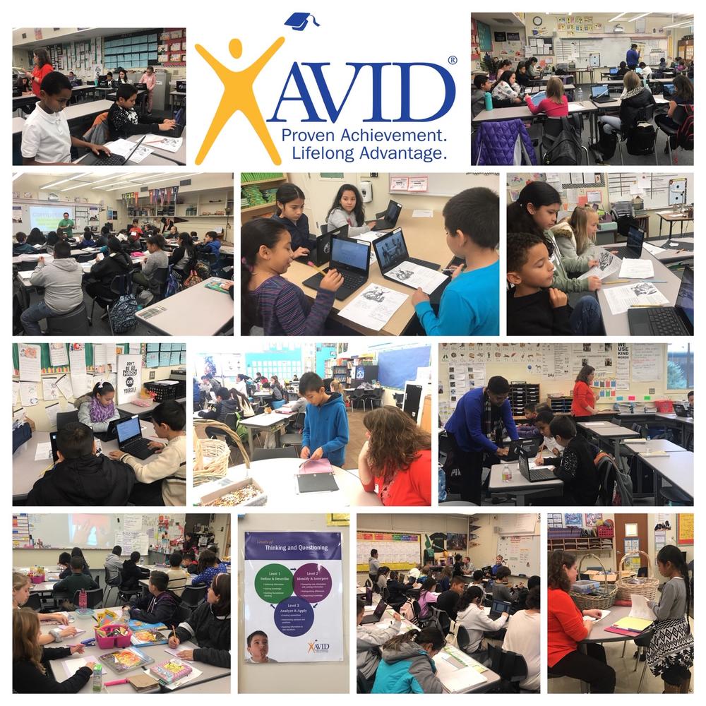 Collage of photos showing children participating in AVID